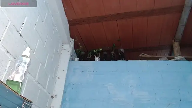 Chat XXX Live jasminne_