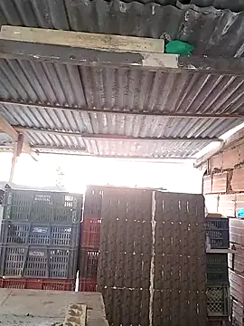 Chat XXX en directo de hoteder