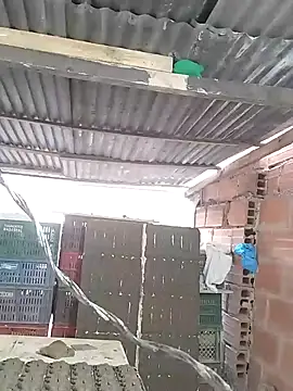 Czat XXX na żywo – hoteder