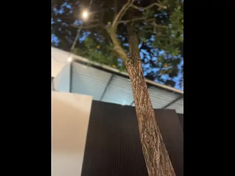 Namii_cute's Live XXX Chat