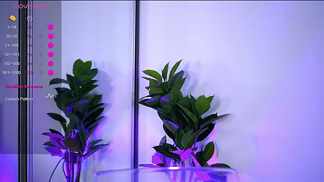 Chat XXX Live BabbyAisha