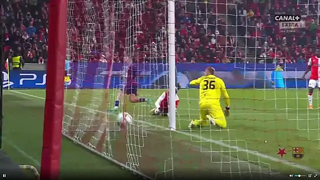 Spedytor Webcam Show