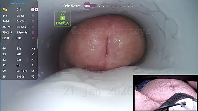 controlmytoys Live XXX-Chat