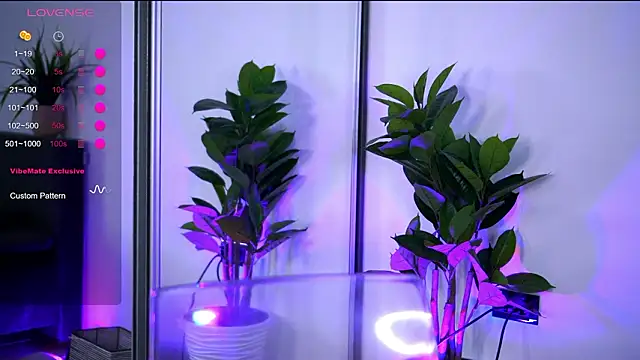 BabbyAisha Live XXX-chat