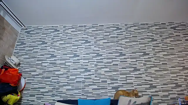 VioletaGomez_Co Chat XXX live