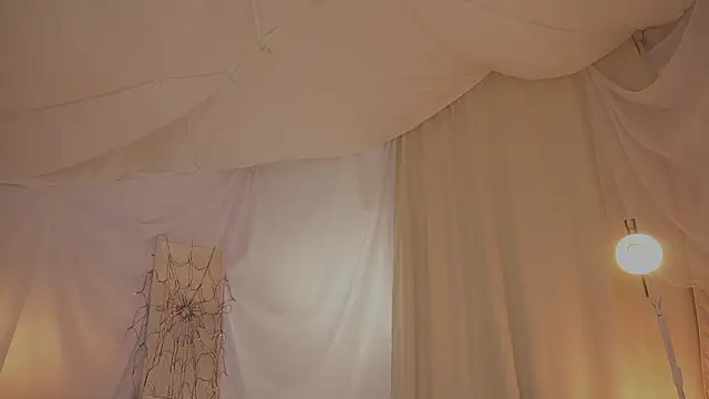 arizonasunriseのウェブカメラショー