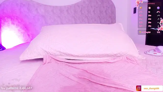 wensheng_ élő XXX-chatje