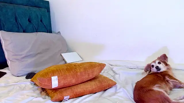 Chatroom XXX en direct de cedrixx10