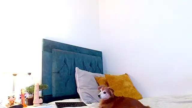 Chatroom XXX en direct de cedrixx10