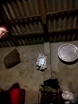 Linhcutex's Live XXX Chat