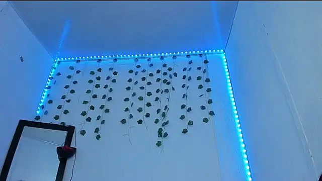 Pokazy przed kamerką – PureFire20