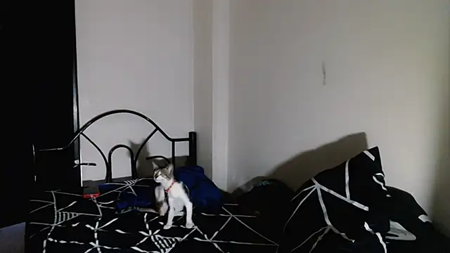 Chatroom XXX en direct de Nathalie_Heartxoxo69