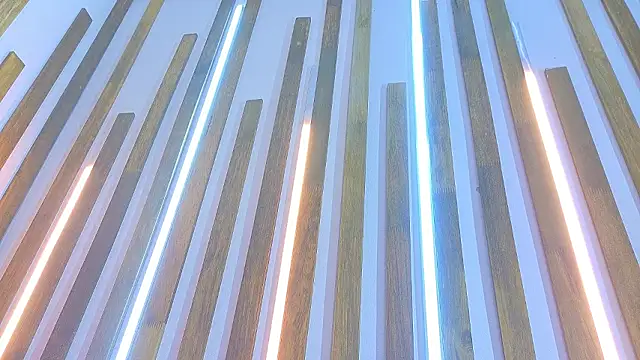 Jennifer_Vega1のライブXXXチャット