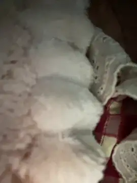 Mayly_lucky2 élő XXX-chatje