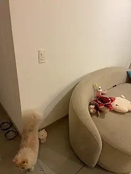 Anavi_: απευθείας συνομιλία ΧΧΧ