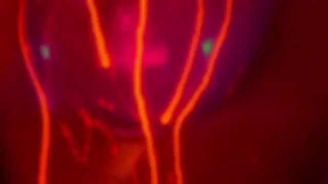 Chat XXX Live HeyBananas