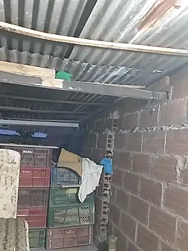 hoteder's Live XXX Chat