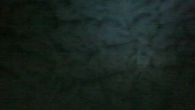 Chichoplus1 웹캠 쇼