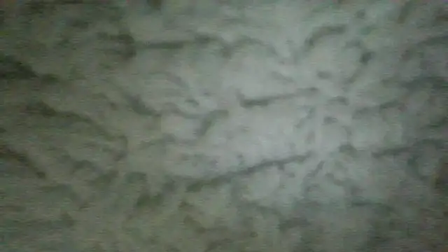 عرض كام Chichoplus1