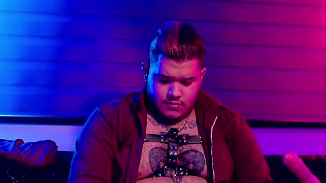 Show modela VittorioMontessori na web-kameri