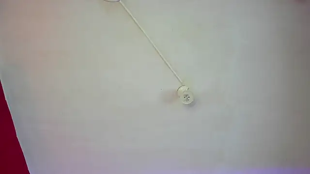 wandaliones élő XXX-chatje