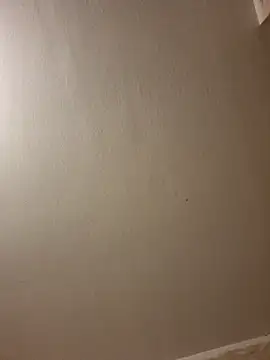 Show de Playfulcubb na webcam