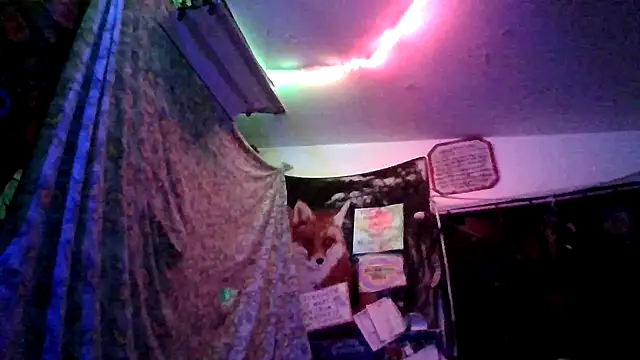 spunfoxxx: онлайн-секс-чат