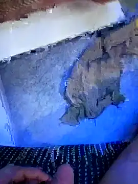 Elbayda élő XXX-chatje