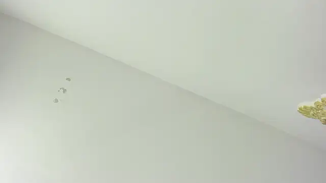 ChannelWhitee_ 即時 XXX 聊天