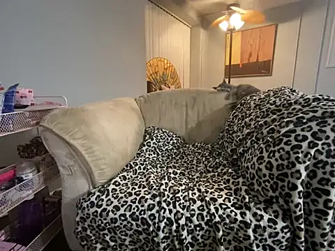 BettyCock Live XXX-chat