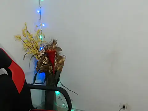 Meegan_Hott Webcamshow