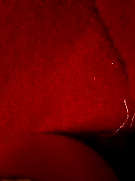 -Bunny-y's Live XXX Chat