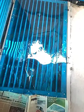 Gina999 Adlı Modelin Web Kamerası Şovu