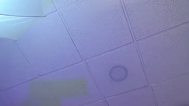 عرض كام Dayaaan_