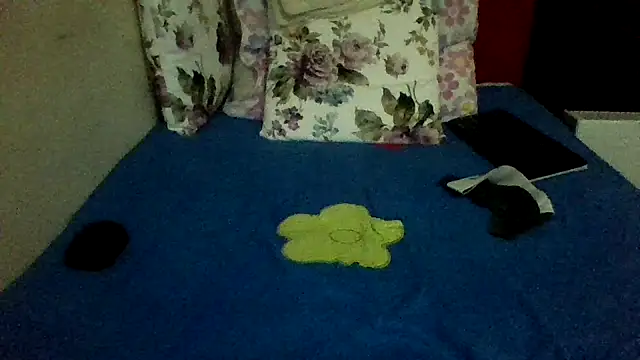 Show de webcam de st206boy