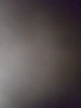 Pancracio005 Chat XXX live