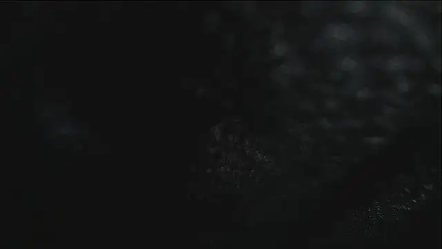 darwinandbrayann's Live XXX Chat