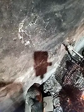 gugu0022's Live XXX Chat