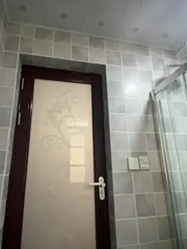 petoys 网络视讯表演