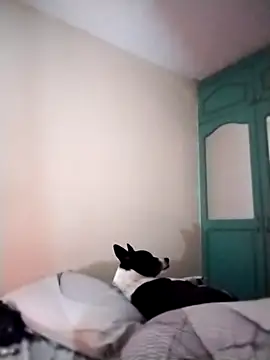 Sembang XXX Secara Langsung EmmaMelissa0521