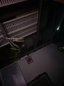 Phattpinktaco's Webcam Show