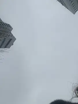 Flossy_Vettie Webcam-Show