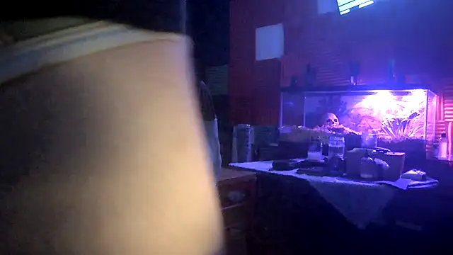 TheHellBilly webkamerás műsora