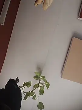 Онлайн чат XXX XxX_KING30