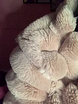 XXX chat uživo modela Star-sweet