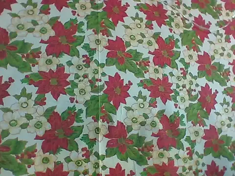 Sassy_Erika 即時 XXX 聊天