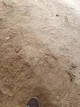 NextGenModel: απευθείας συνομιλία ΧΧΧ