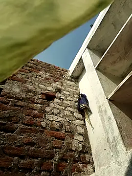 PIHU999 라이브 XXX 채팅