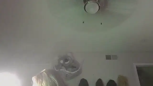 SpiderRose: онлайн-секс-чат