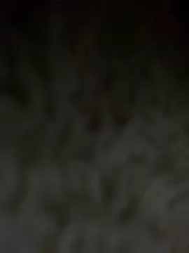 Chat XXX Live Nul-chal